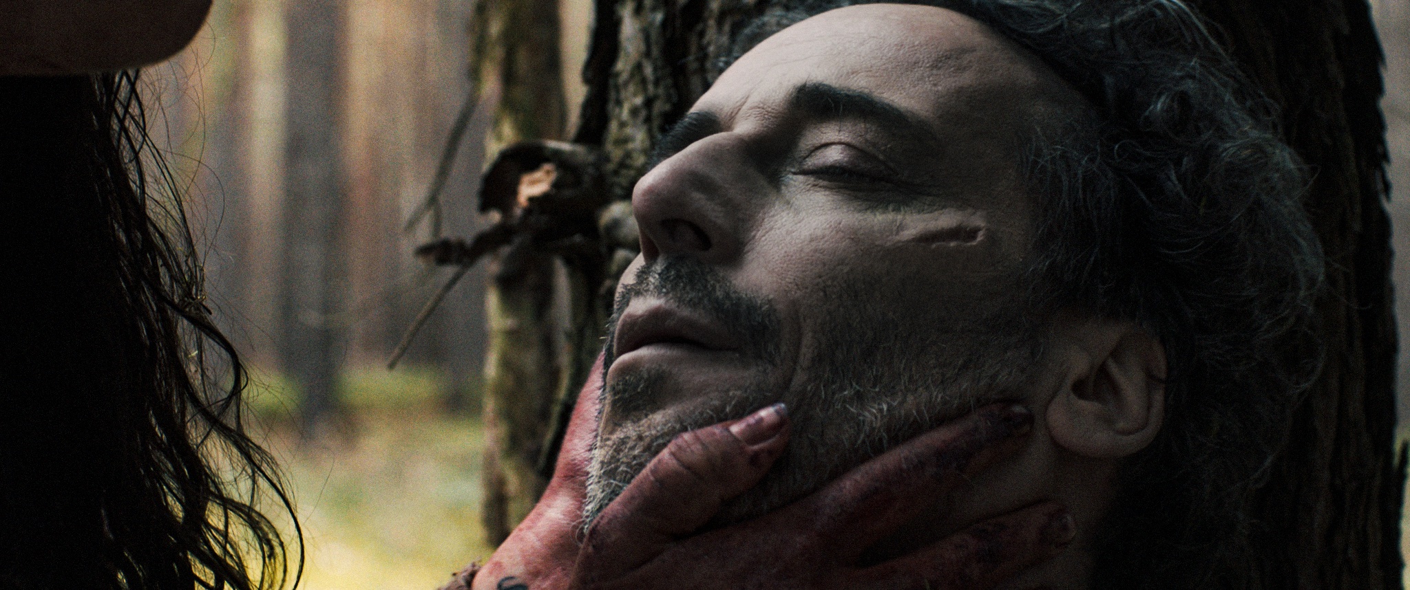 Directed by Sofia Ayala